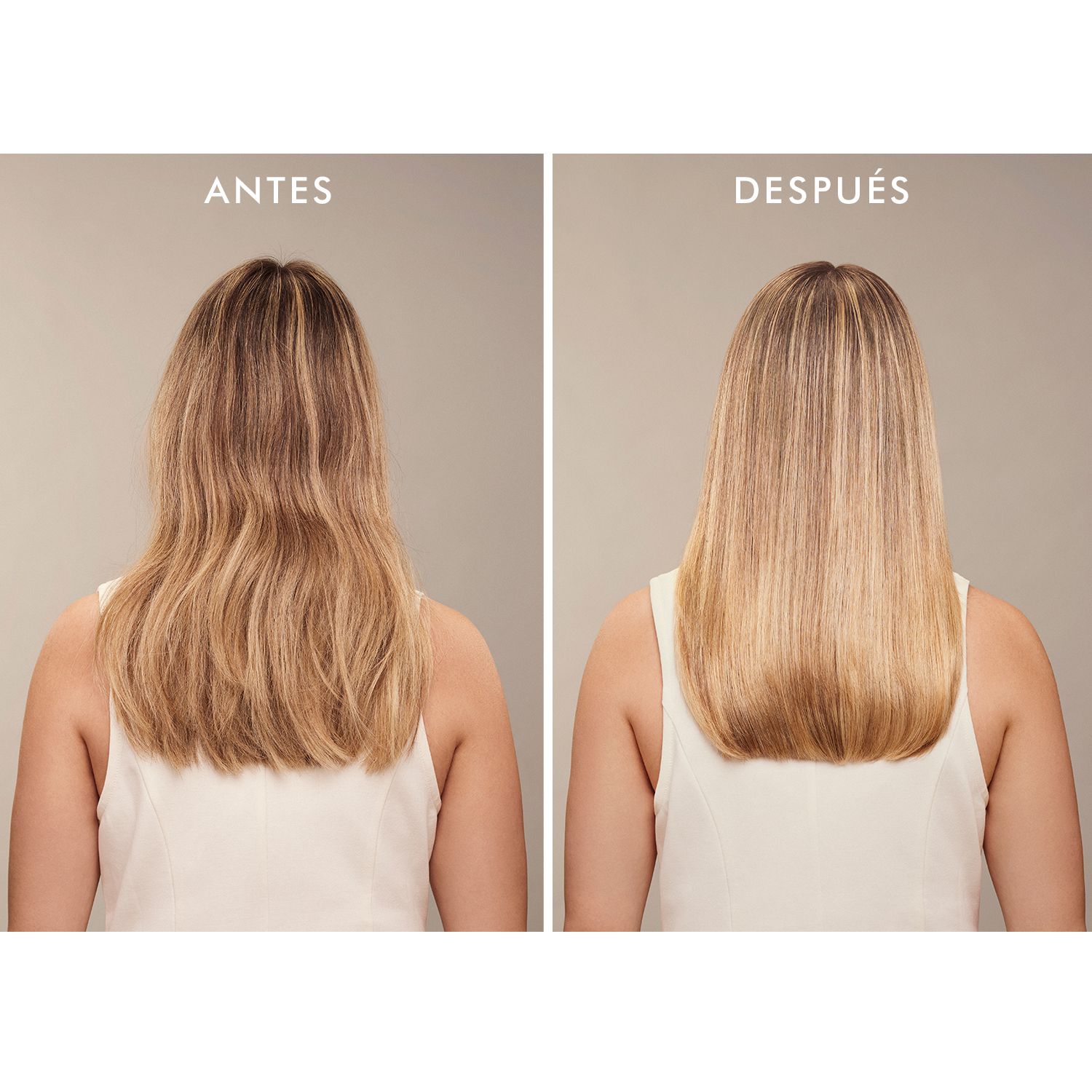 TREATMENT MIST (BRUMA CAPILAR)